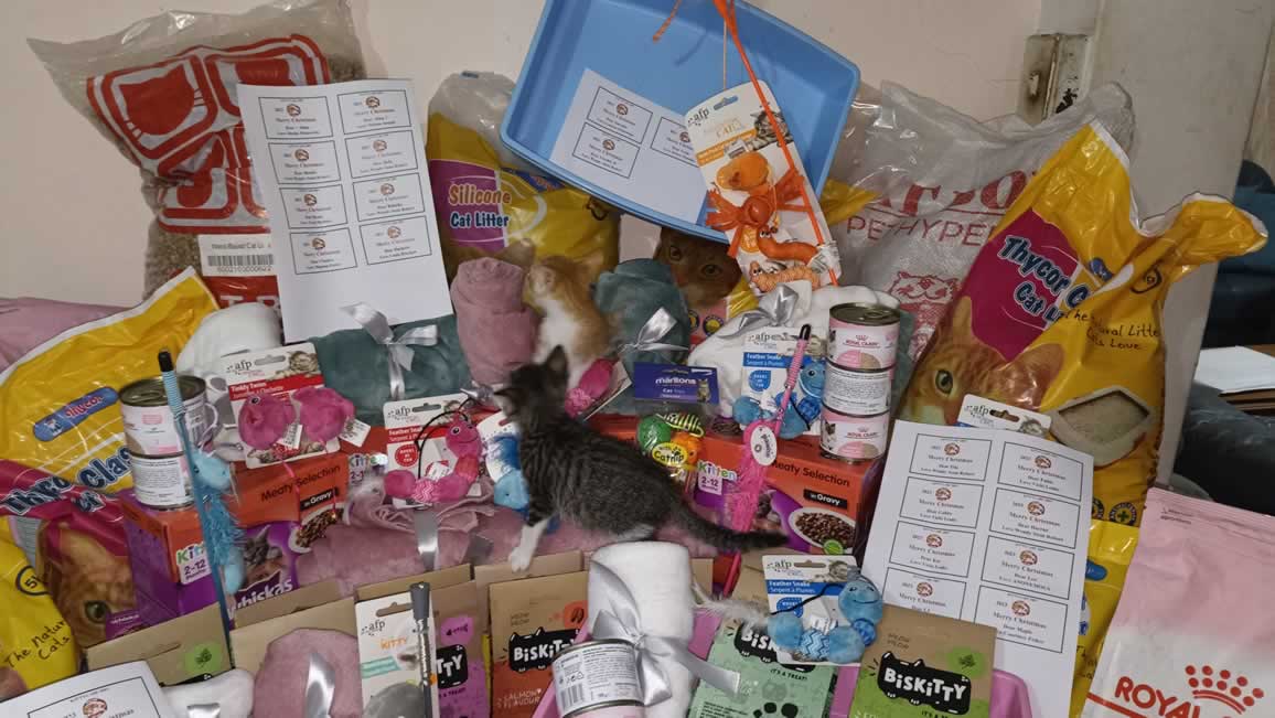 KittyCare Durban 